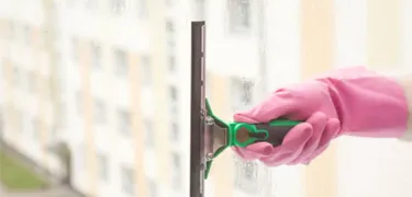 spotless window cleaning